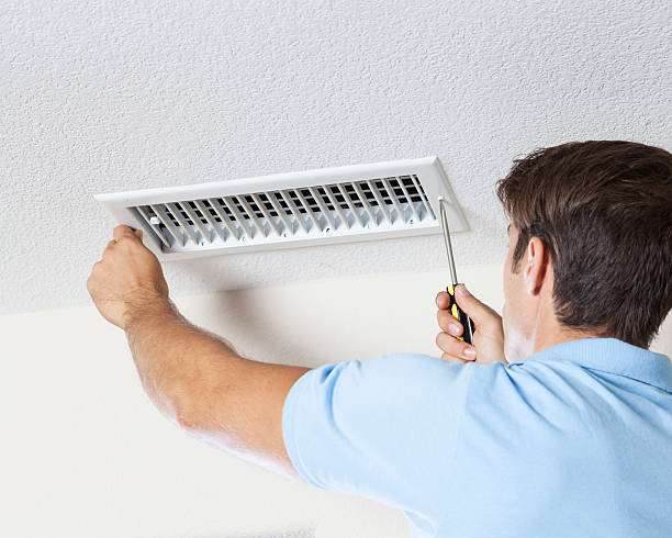 Best Black Mold Removal  in Mountain Green, UT