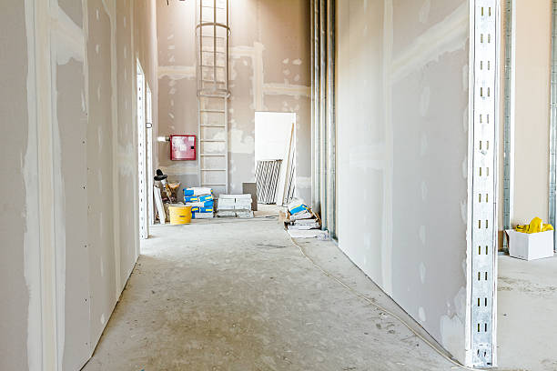 Trusted Mountain Green, UT Mold Removal Experts